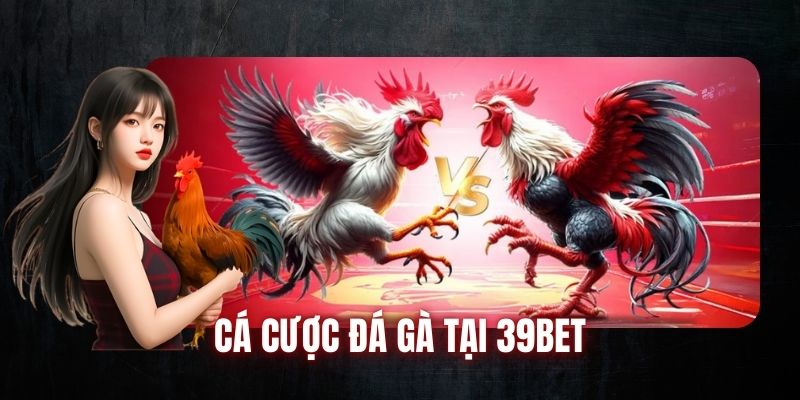 Cá cược đá gà